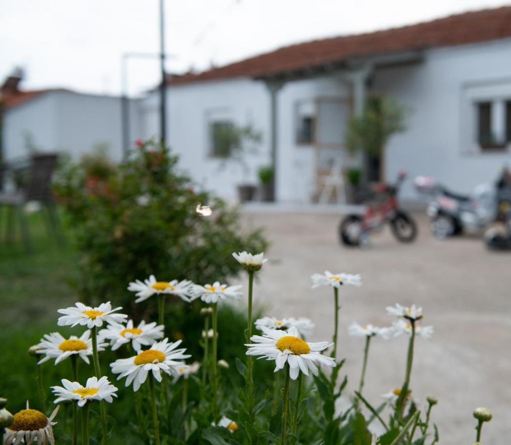 Agrikia Tis Vasilikis Apartment Ormília Exterior foto